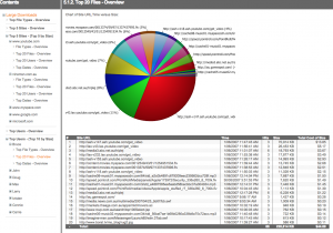 Large Downloads Report