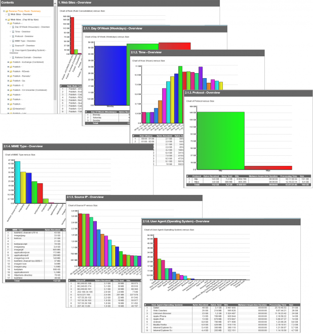 ReportSample